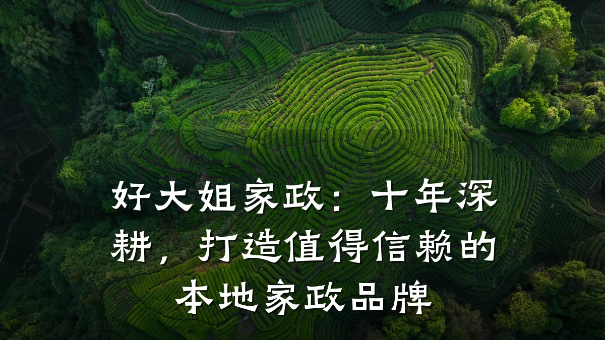 好大姐家政：十年深耕，打造值得信赖的本地家政品牌