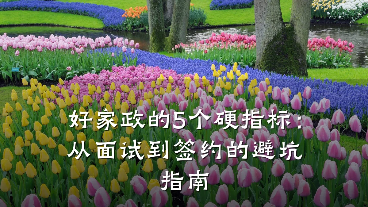 好家政的5个硬指标：从面试到签约的避坑指南