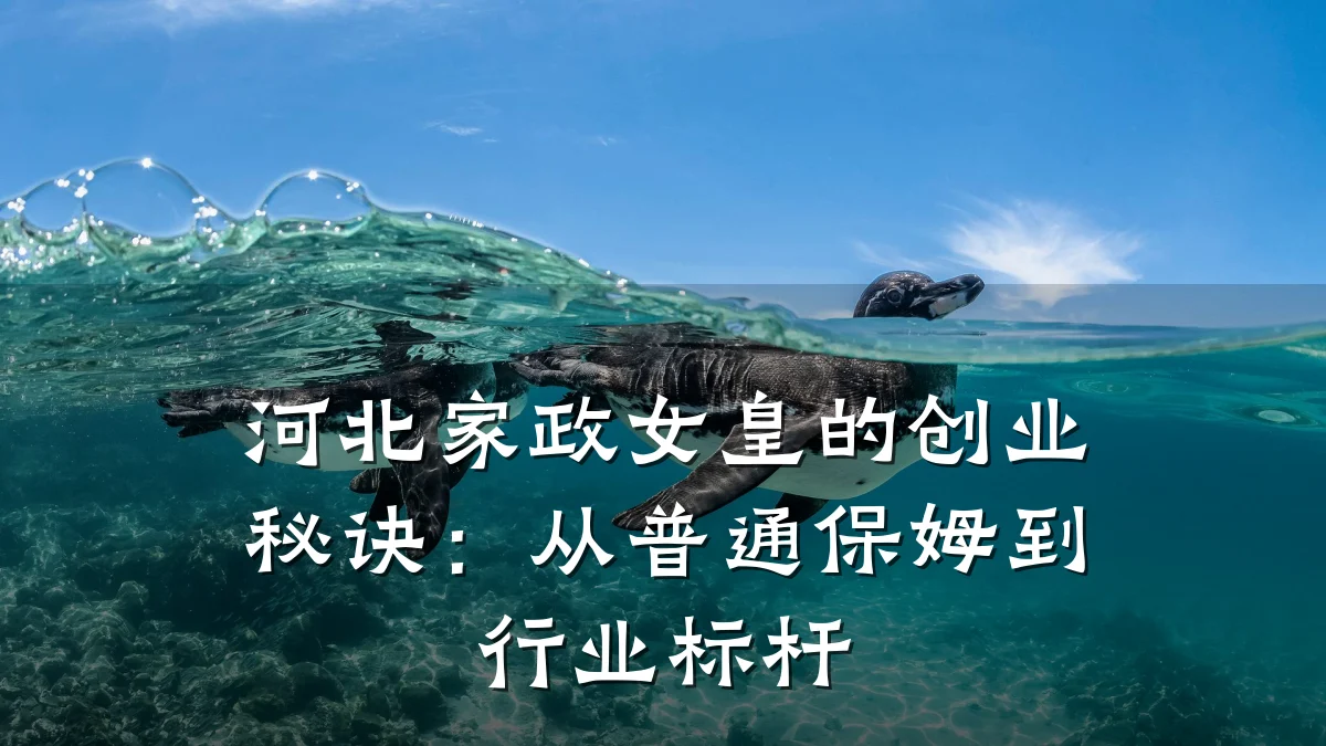 河北家政女皇的创业秘诀：从普通保姆到行业标杆