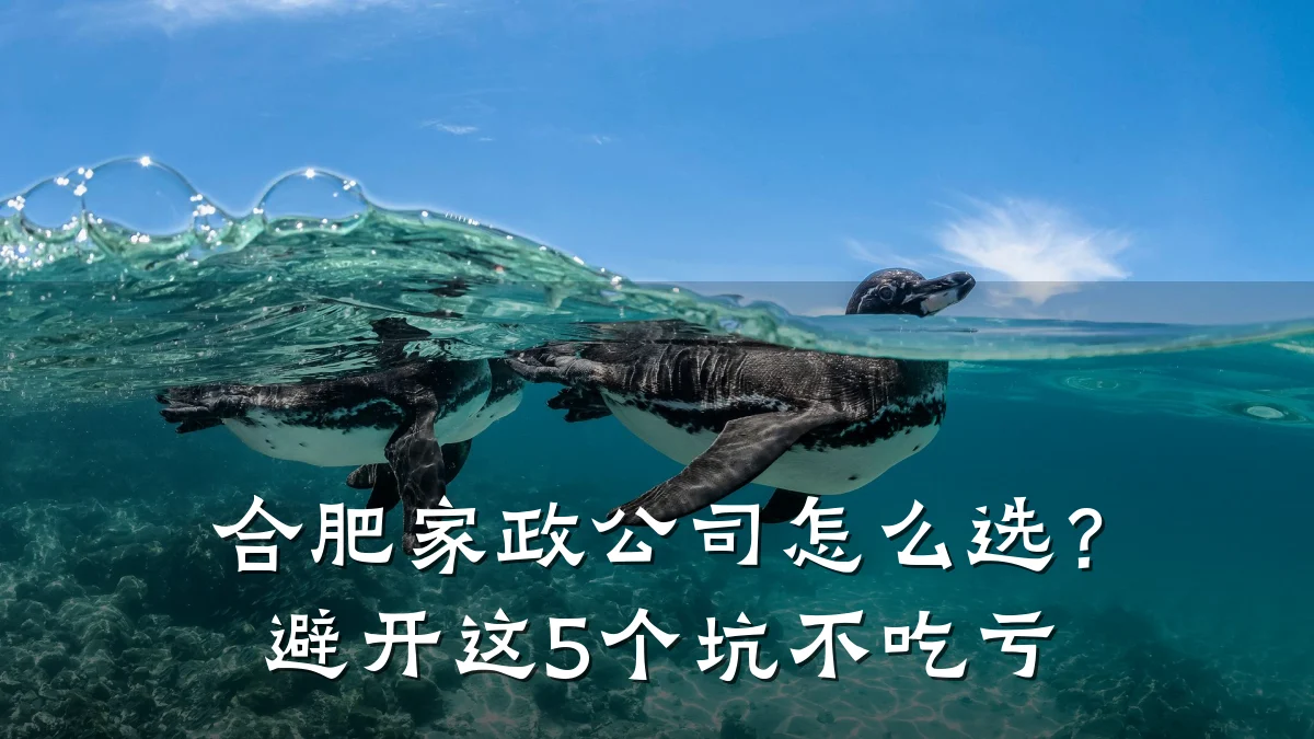 合肥家政公司怎么选？避开这5个坑不吃亏