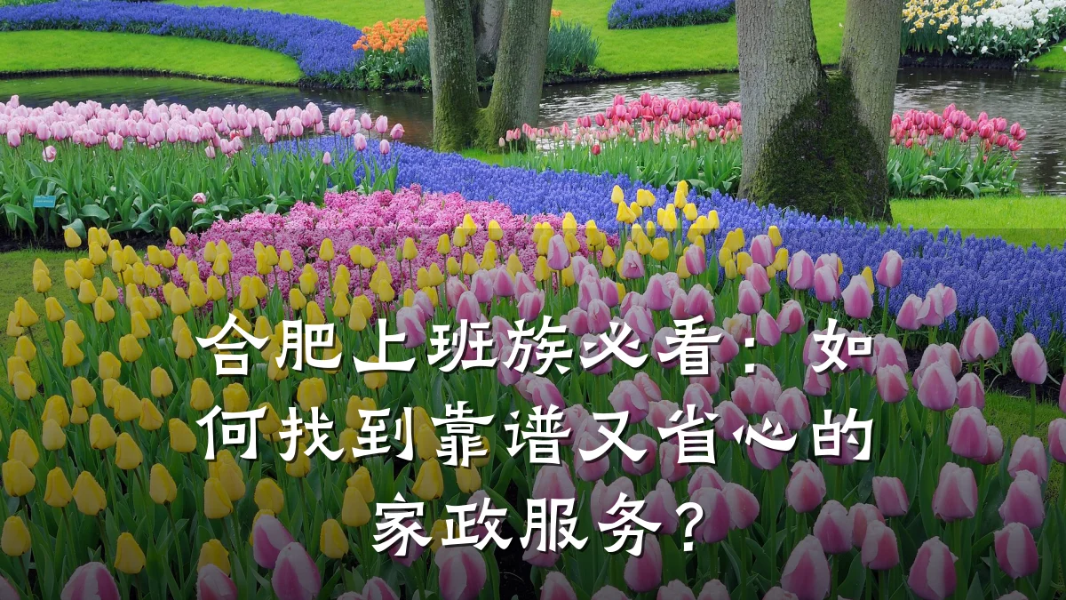 合肥上班族必看：如何找到靠谱又省心的家政服务？