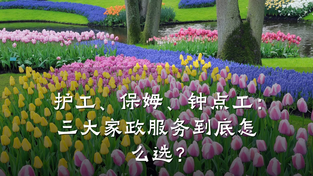 护工、保姆、钟点工：三大家政服务到底怎么选？