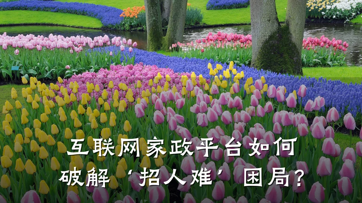 互联网家政平台如何破解‘招人难’困局？