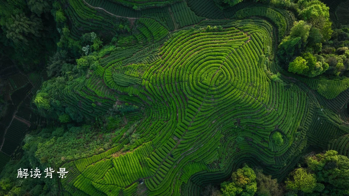 解读背景