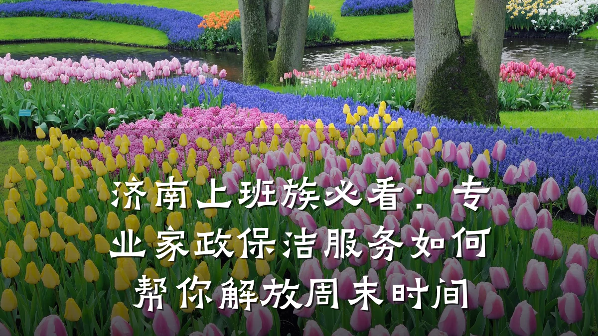 济南上班族必看：专业家政保洁服务如何帮你解放周末时间