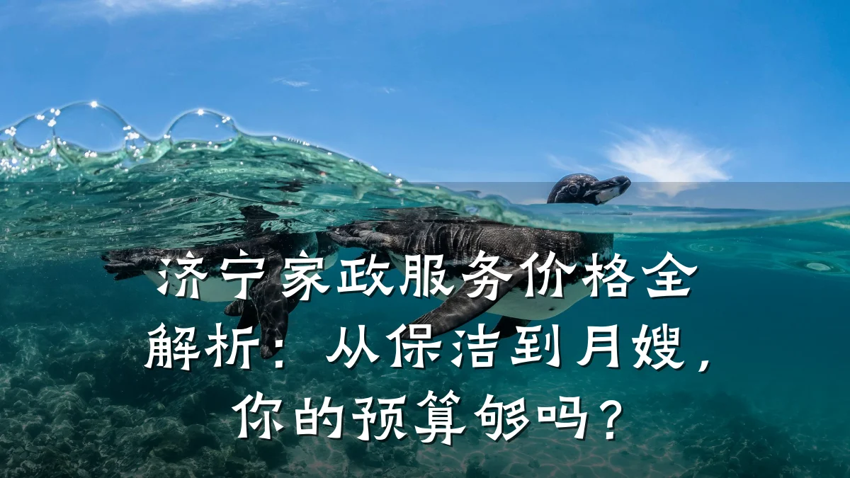 济宁家政服务价格全解析：从保洁到月嫂，你的预算够吗？