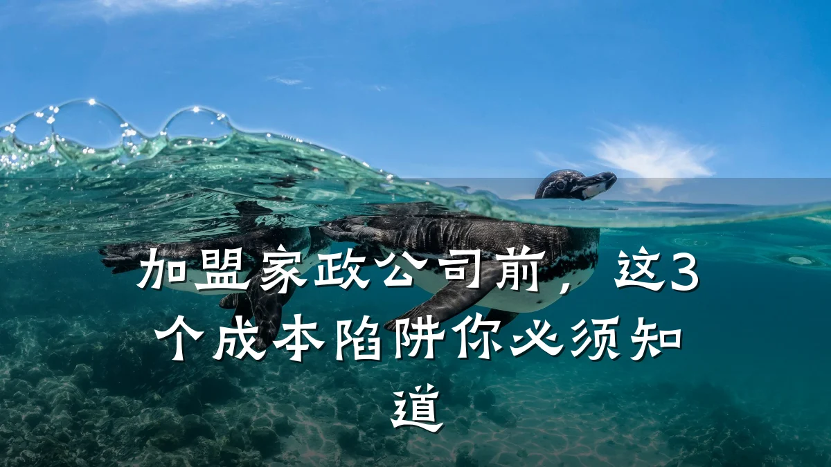 加盟家政公司前，这3个成本陷阱你必须知道