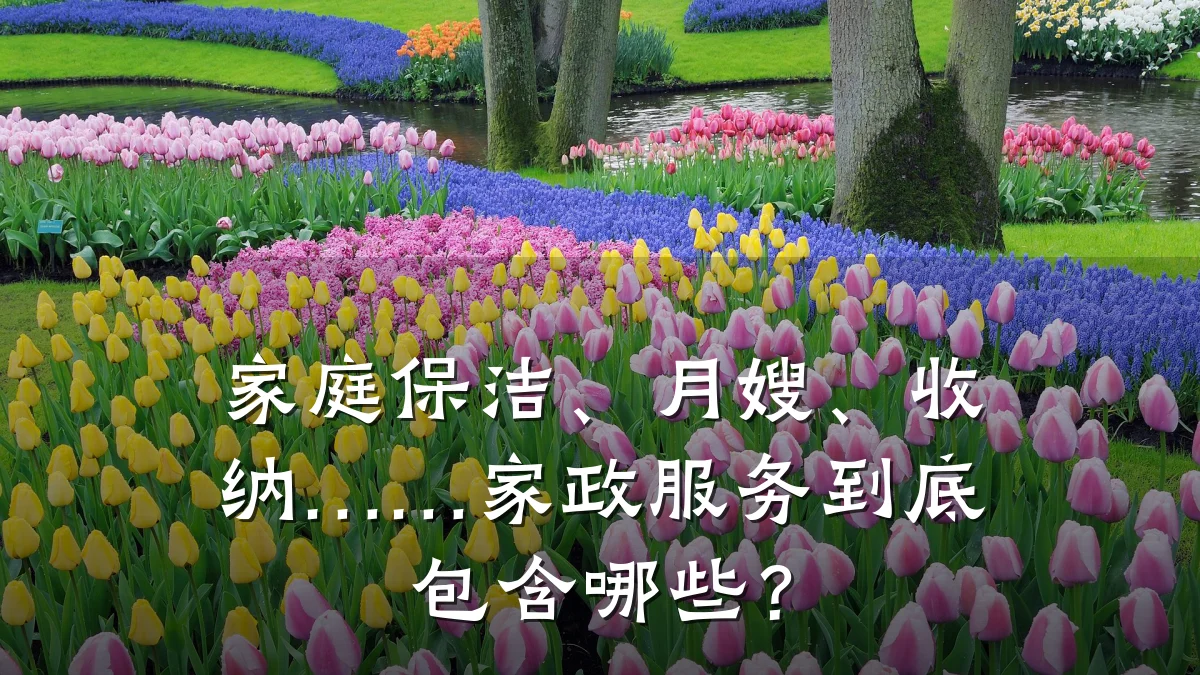 家庭保洁、月嫂、收纳……家政服务到底包含哪些？