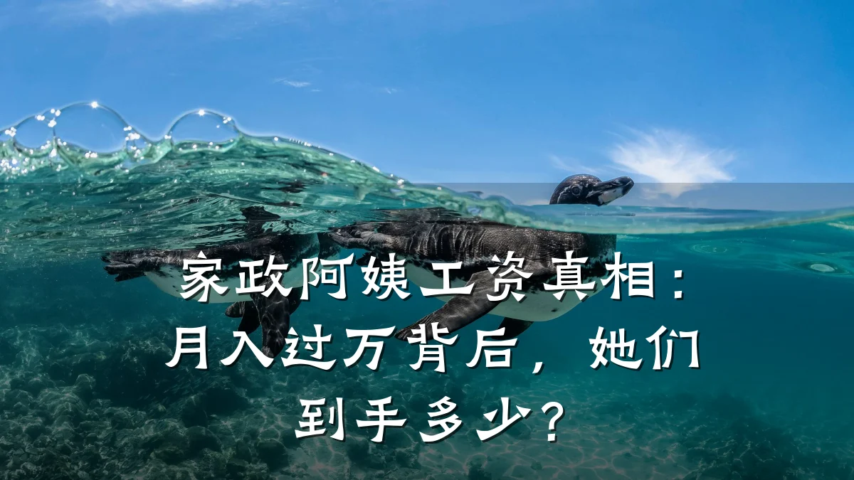 家政阿姨工资真相：月入过万背后，她们到手多少？