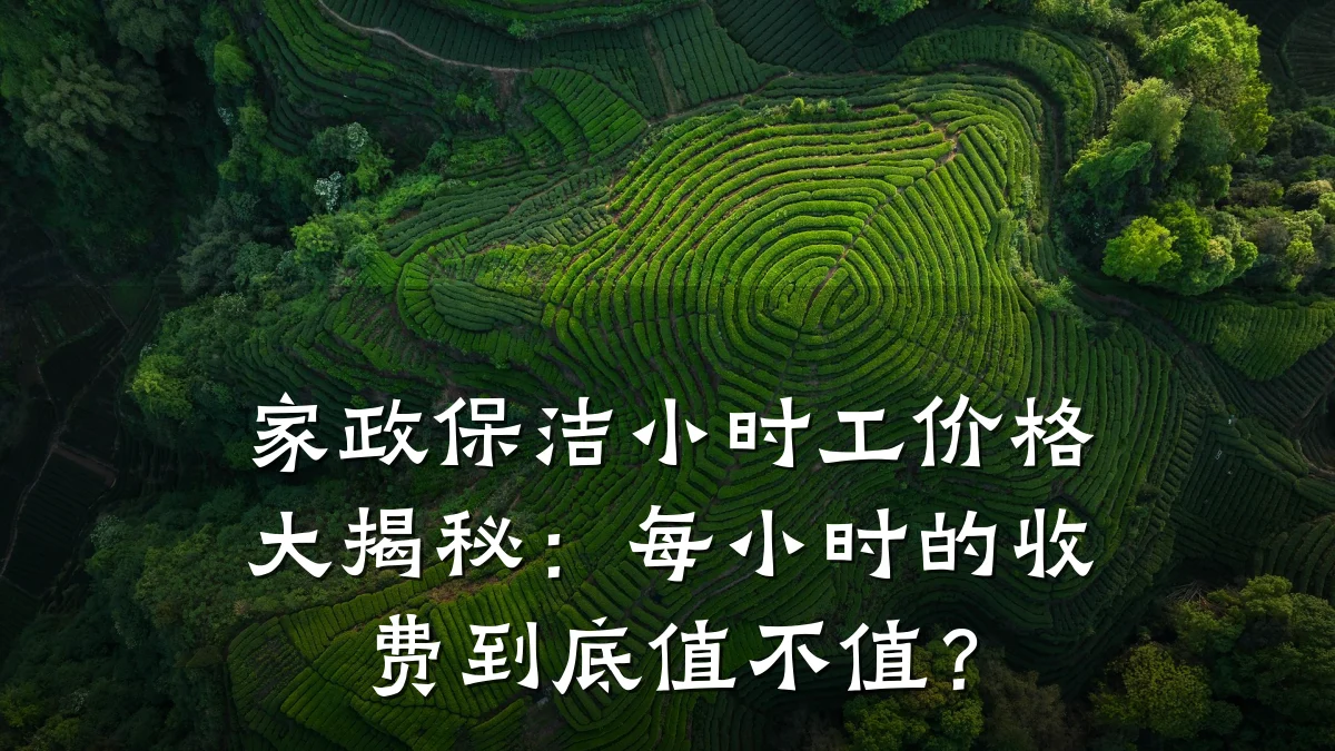 家政保洁小时工价格大揭秘：每小时的收费到底值不值？