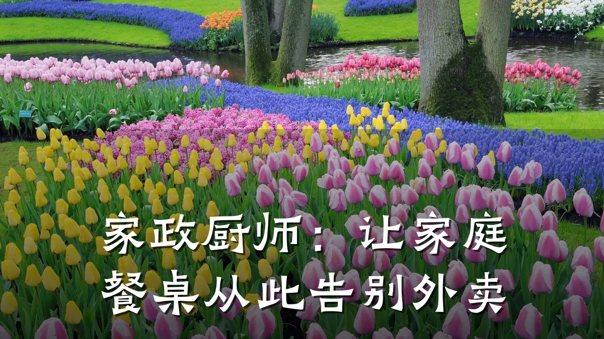 家政厨师：让家庭餐桌从此告别外卖