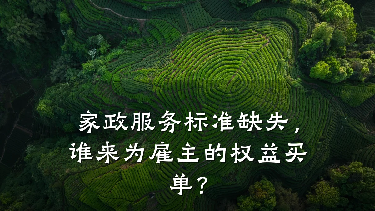 家政服务标准缺失,谁来为雇主的权益买单?