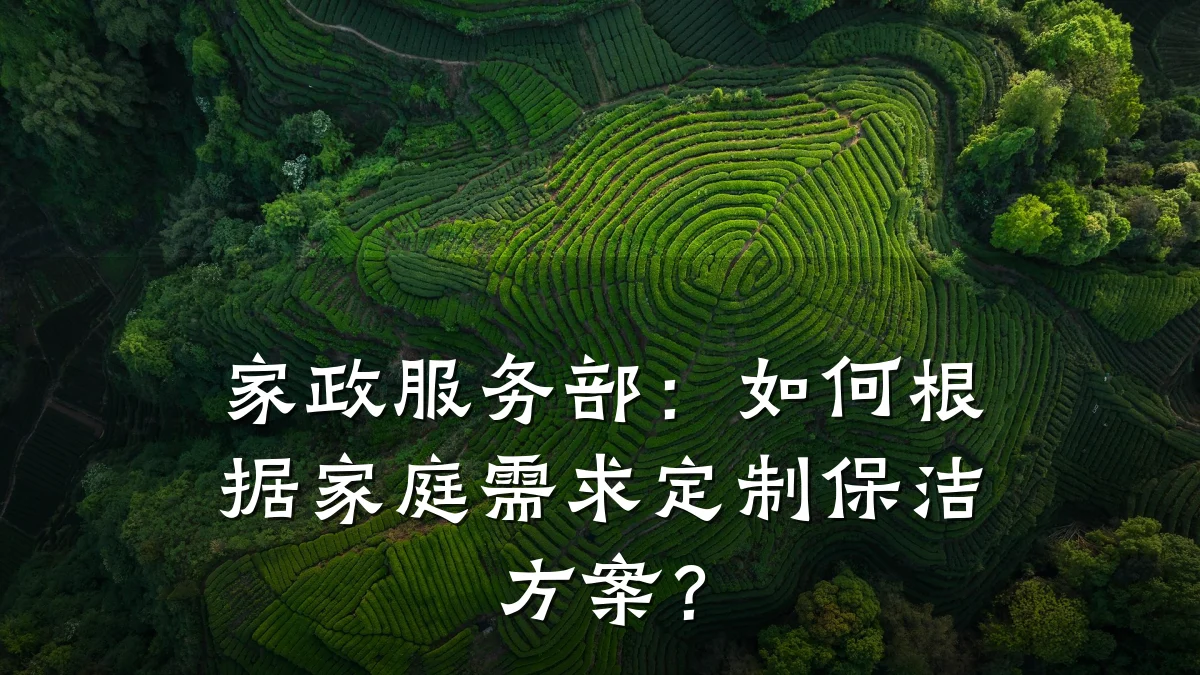 家政服务部：如何根据家庭需求定制保洁方案？
