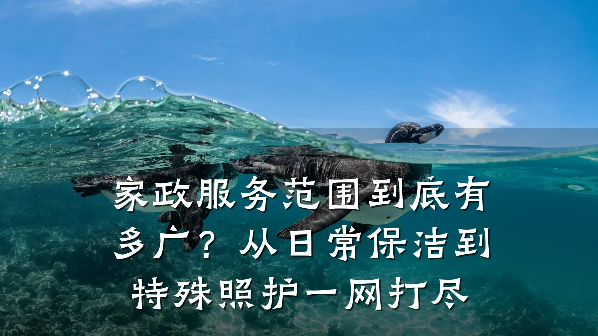 家政服务范围到底有多广？从日常保洁到特殊照护一网打尽