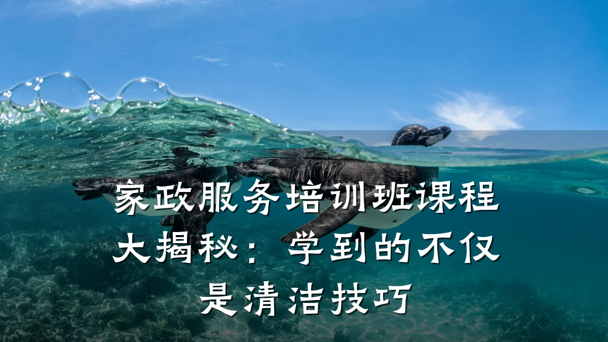 家政服务培训班课程大揭秘：学到的不仅是清洁技巧