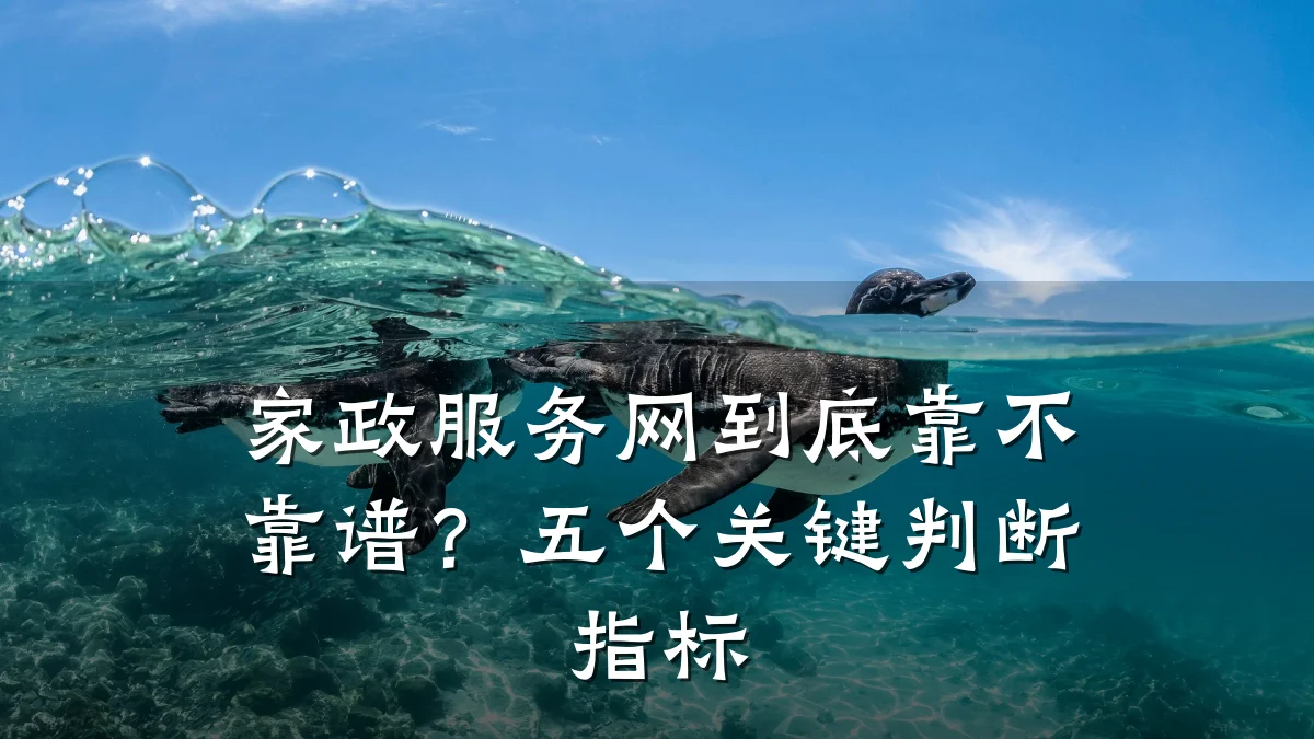 家政服务网到底靠不靠谱？五个关键判断指标