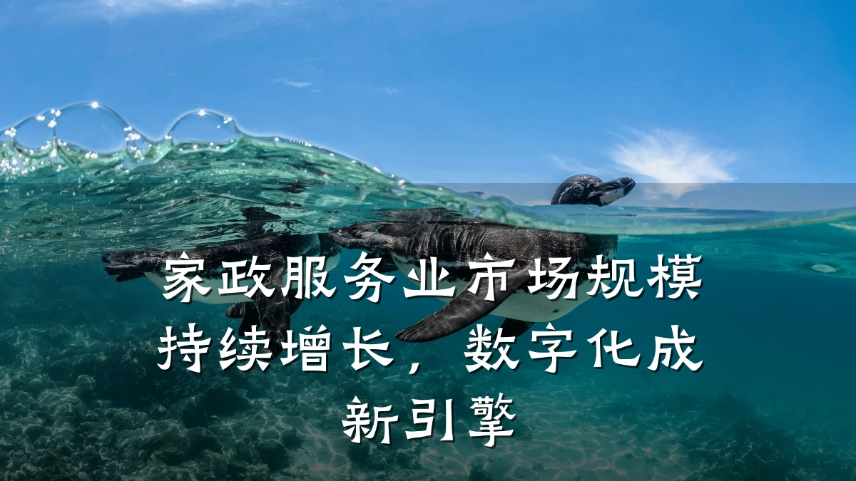家政服务业市场规模持续增长，数字化成新引擎