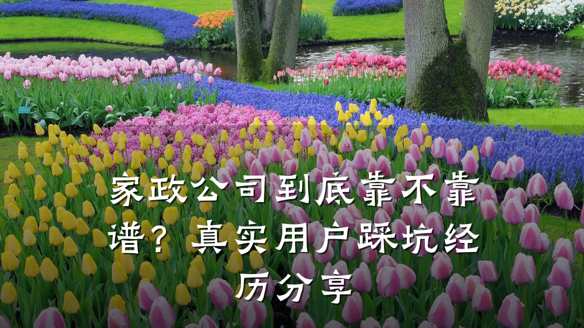 家政公司到底靠不靠谱?真实用户踩坑经历分享