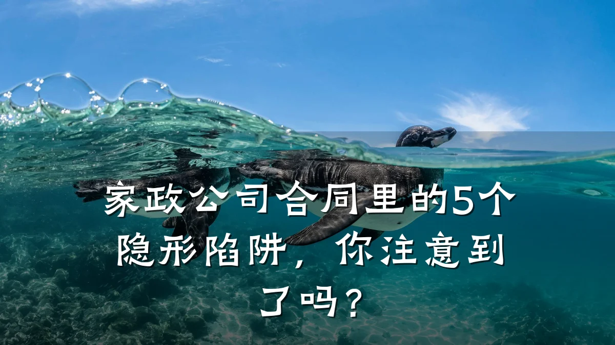家政公司合同里的5个隐形陷阱，你注意到了吗？