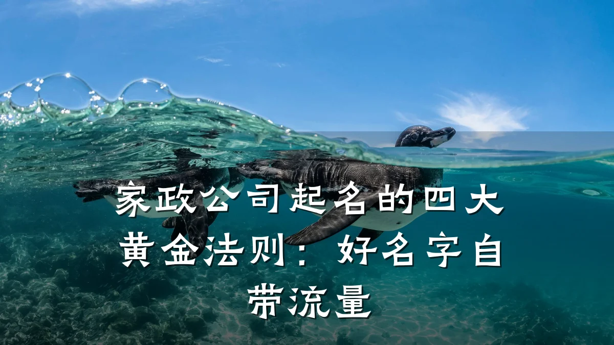 家政公司起名的四大黄金法则：好名字自带流量