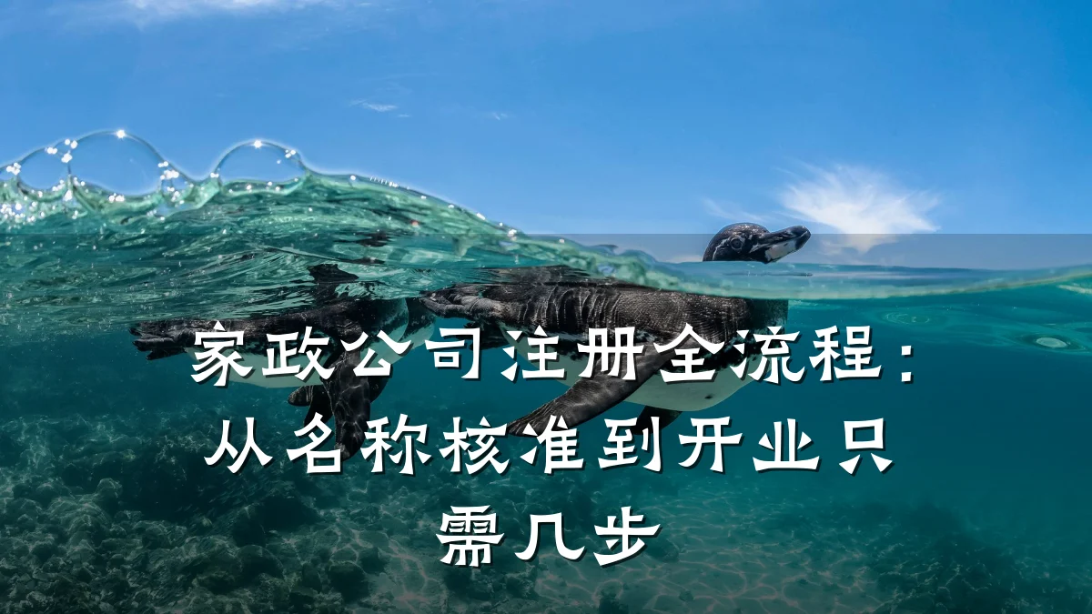 家政公司注册全流程：从名称核准到开业只需几步