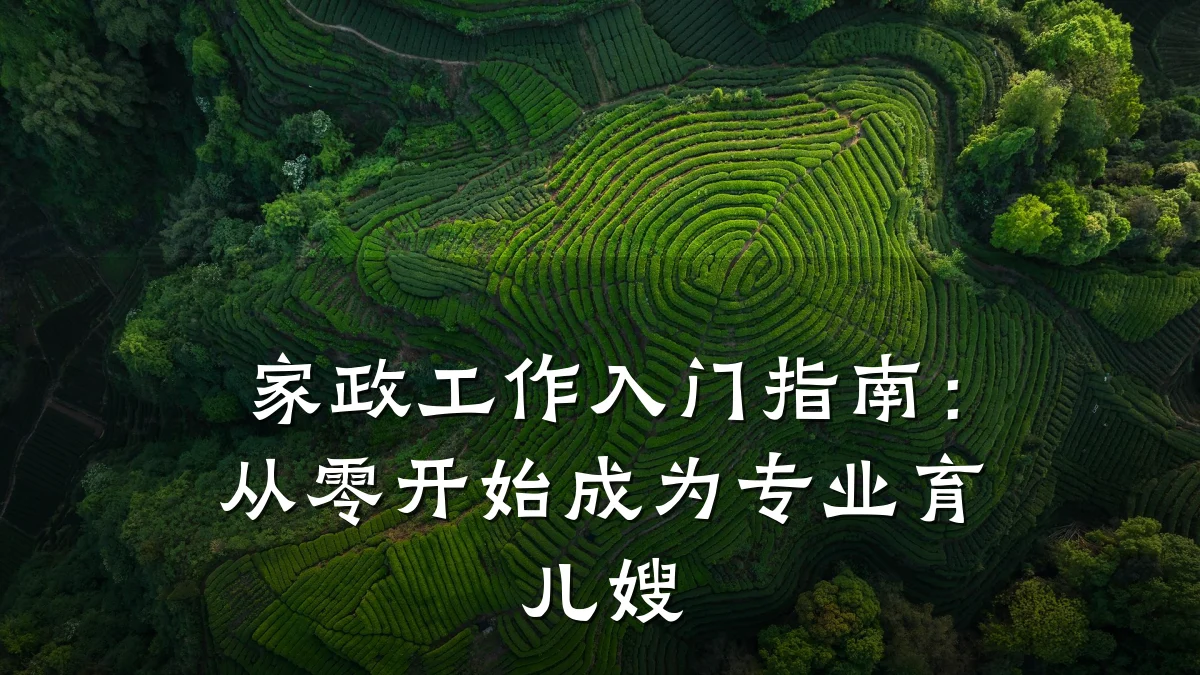 家政工作入门指南：从零开始成为专业育儿嫂