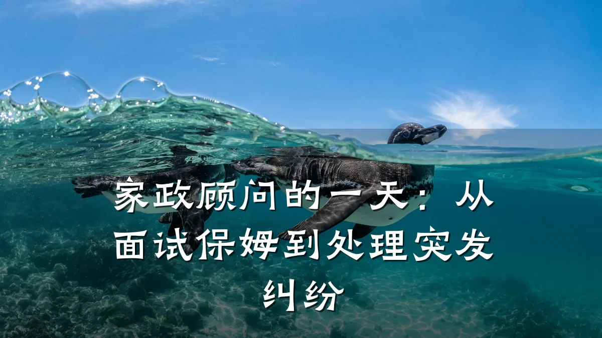 家政顾问的一天：从面试保姆到处理突发纠纷