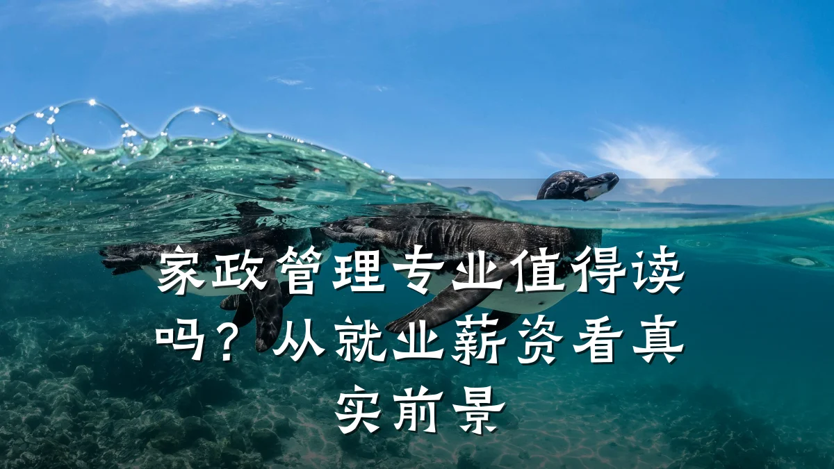 家政管理专业值得读吗？从就业薪资看真实前景