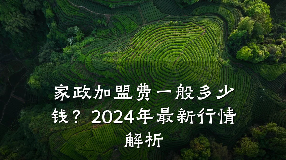 家政加盟费一般多少钱？2024年最新行情解析