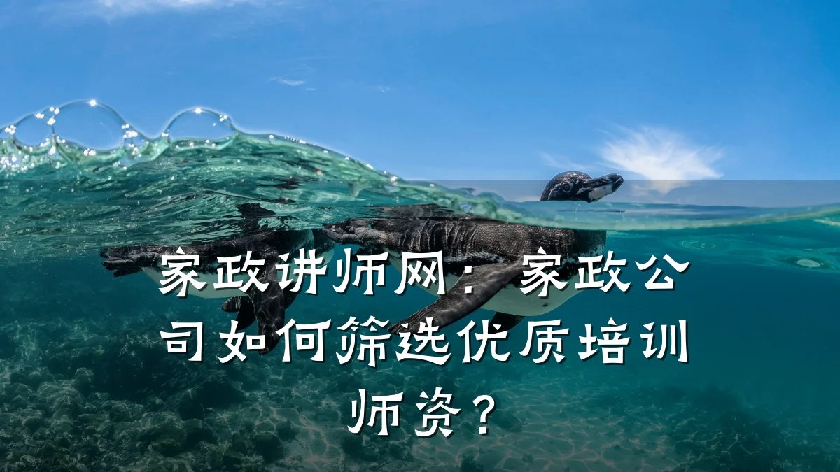 家政讲师网：家政公司如何筛选优质培训师资？