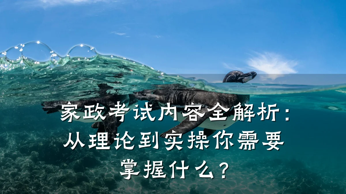 家政考试内容全解析：从理论到实操你需要掌握什么？