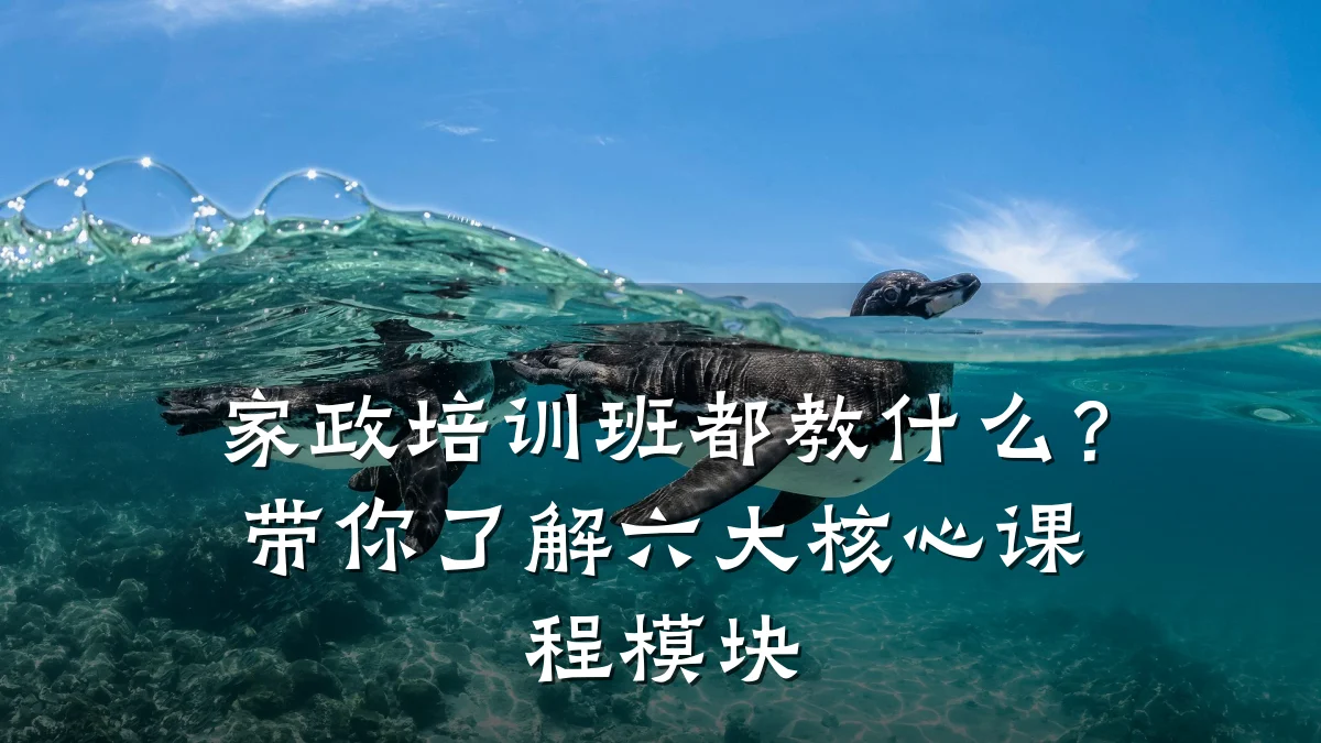 家政培训班都教什么？带你了解六大核心课程模块