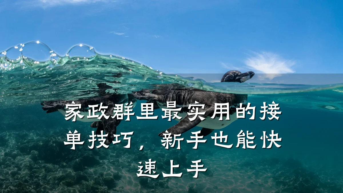 家政群里最实用的接单技巧，新手也能快速上手