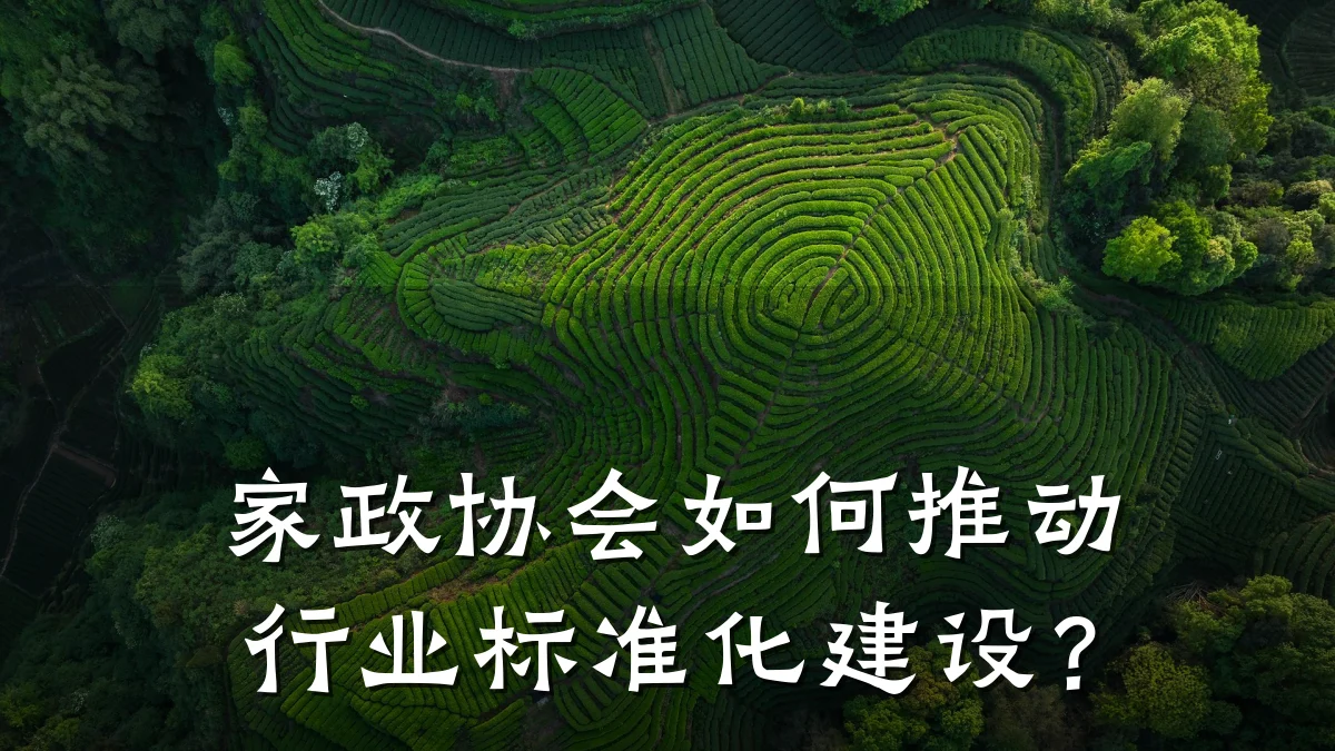 家政协会如何推动行业标准化建设？