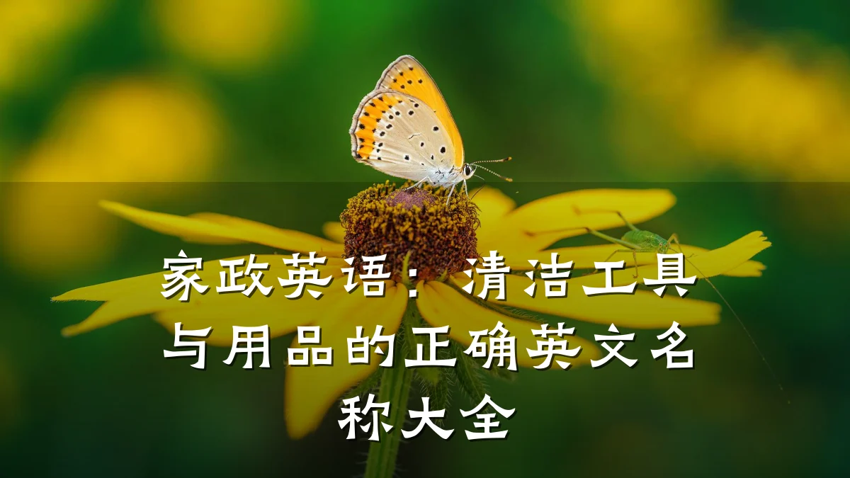 家政英语：清洁工具与用品的正确英文名称大全