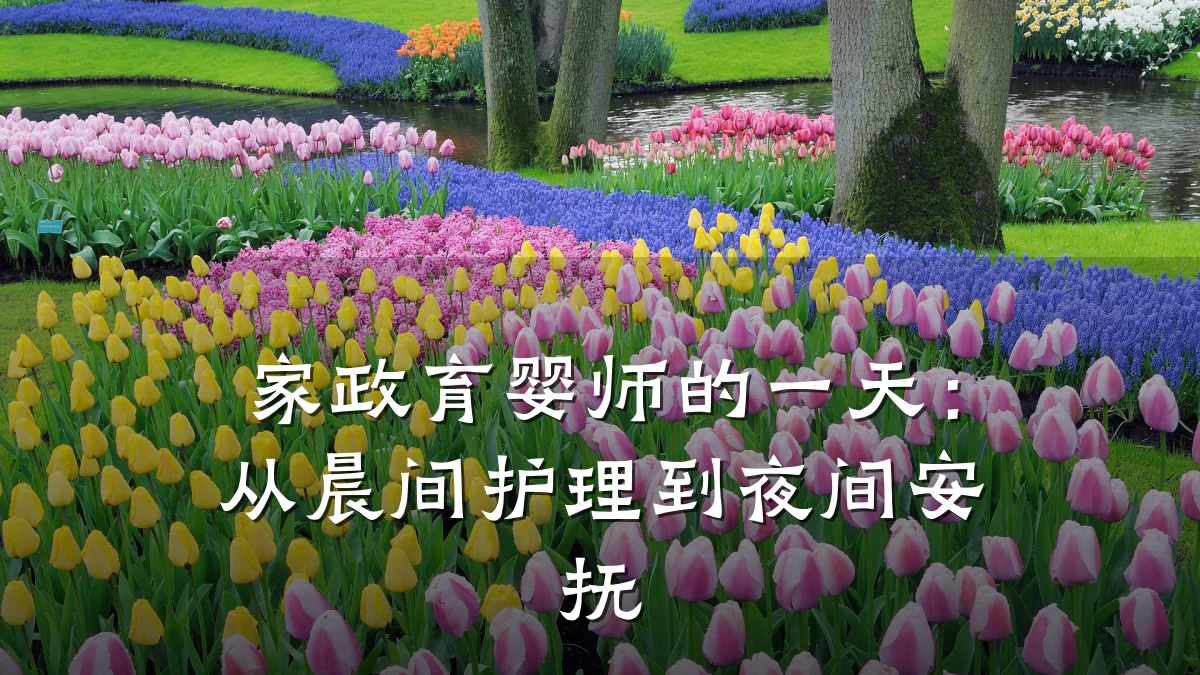 家政育婴师的一天:从晨间护理到夜间安抚