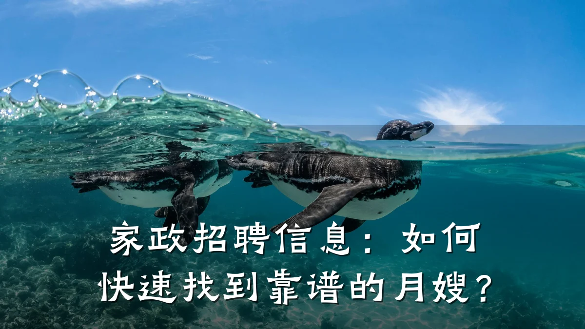 家政招聘信息：如何快速找到靠谱的月嫂？