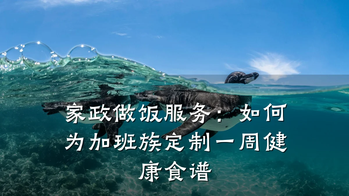 家政做饭服务：如何为加班族定制一周健康食谱
