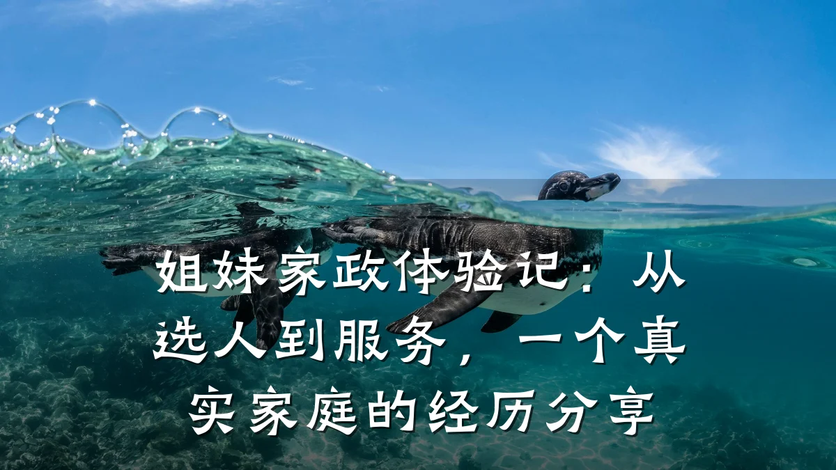 姐妹家政体验记：从选人到服务，一个真实家庭的经历分享