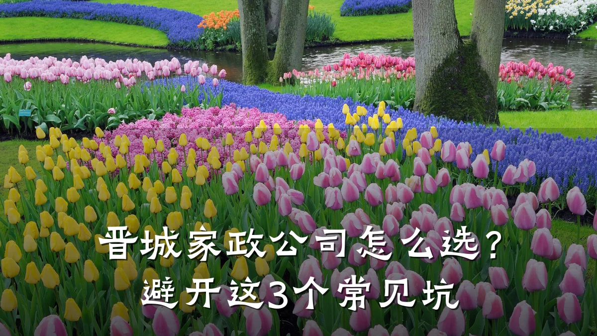 晋城家政公司怎么选？避开这3个常见坑
