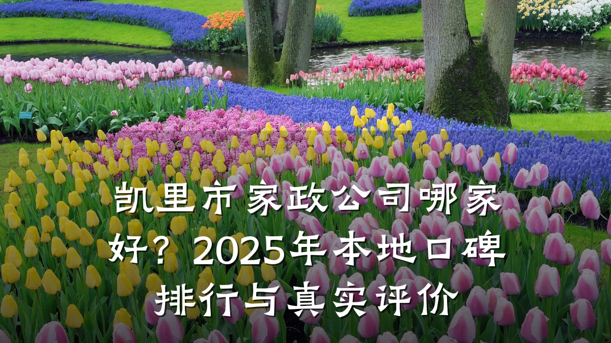 凯里市家政公司哪家好?2025年本地口碑排行与真实评价
