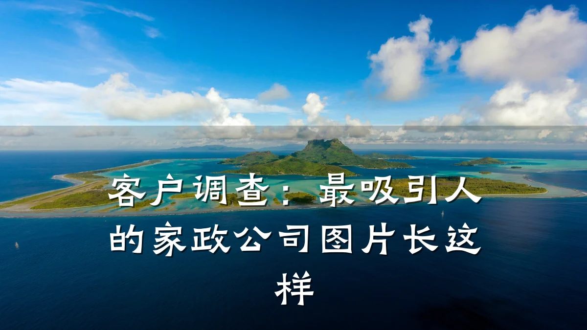 客户调查：最吸引人的家政公司图片长这样