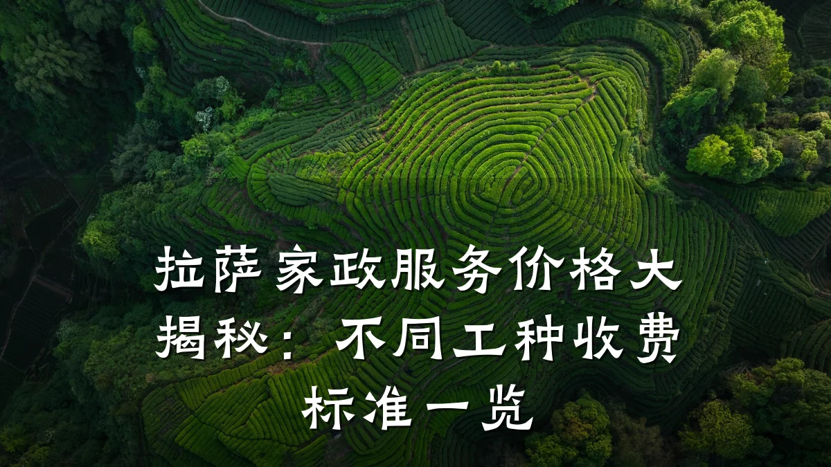 拉萨家政服务价格大揭秘：不同工种收费标准一览