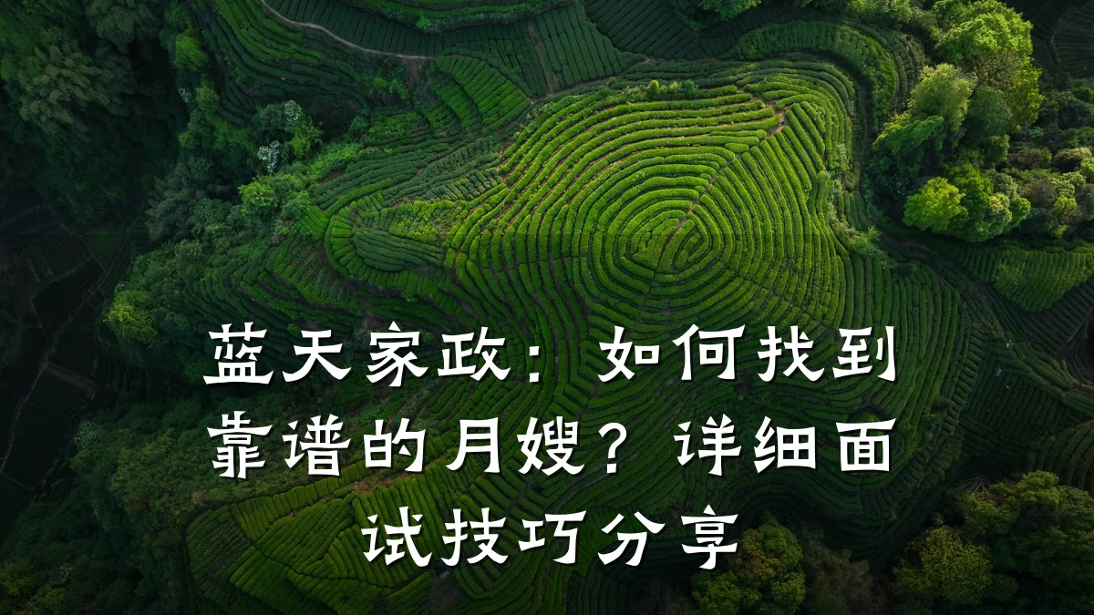 蓝天家政：如何找到靠谱的月嫂？详细面试技巧分享