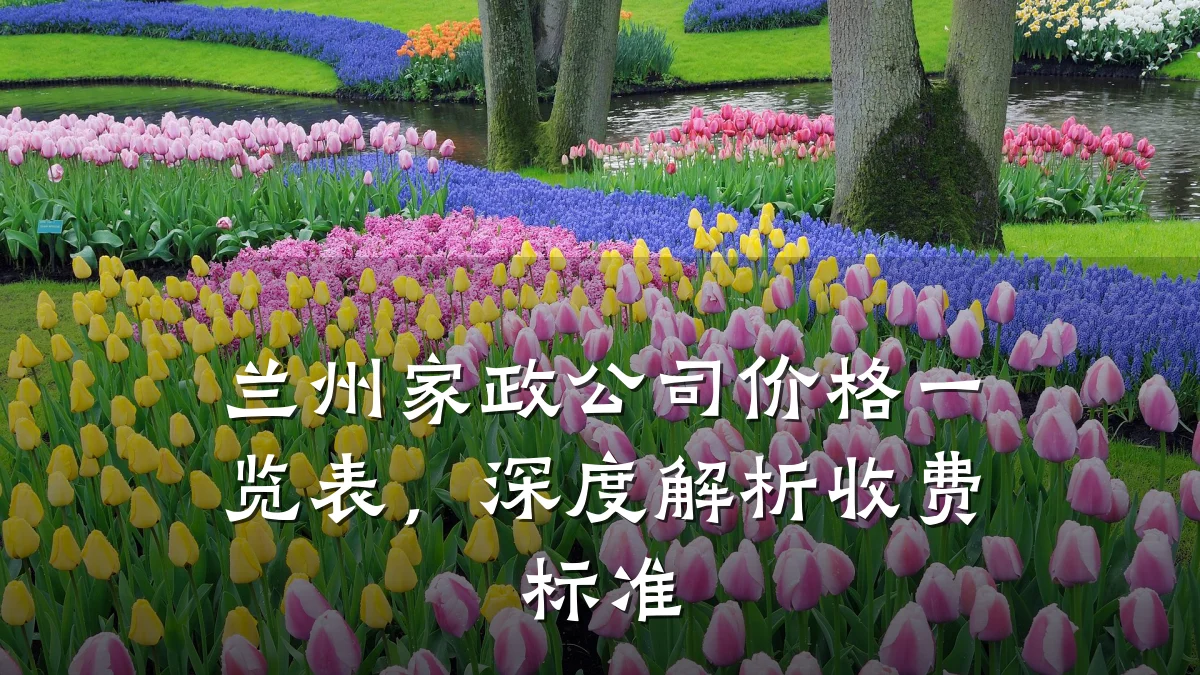兰州家政公司价格一览表，深度解析收费标准