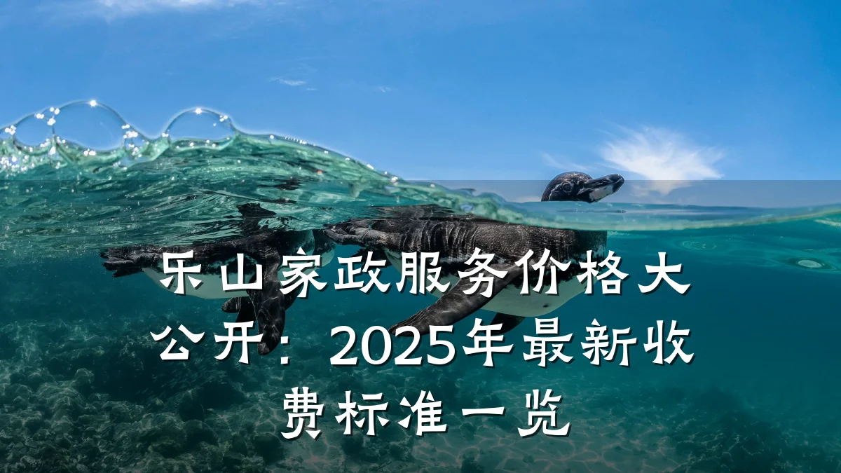 乐山家政服务价格大公开：2025年最新收费标准一览