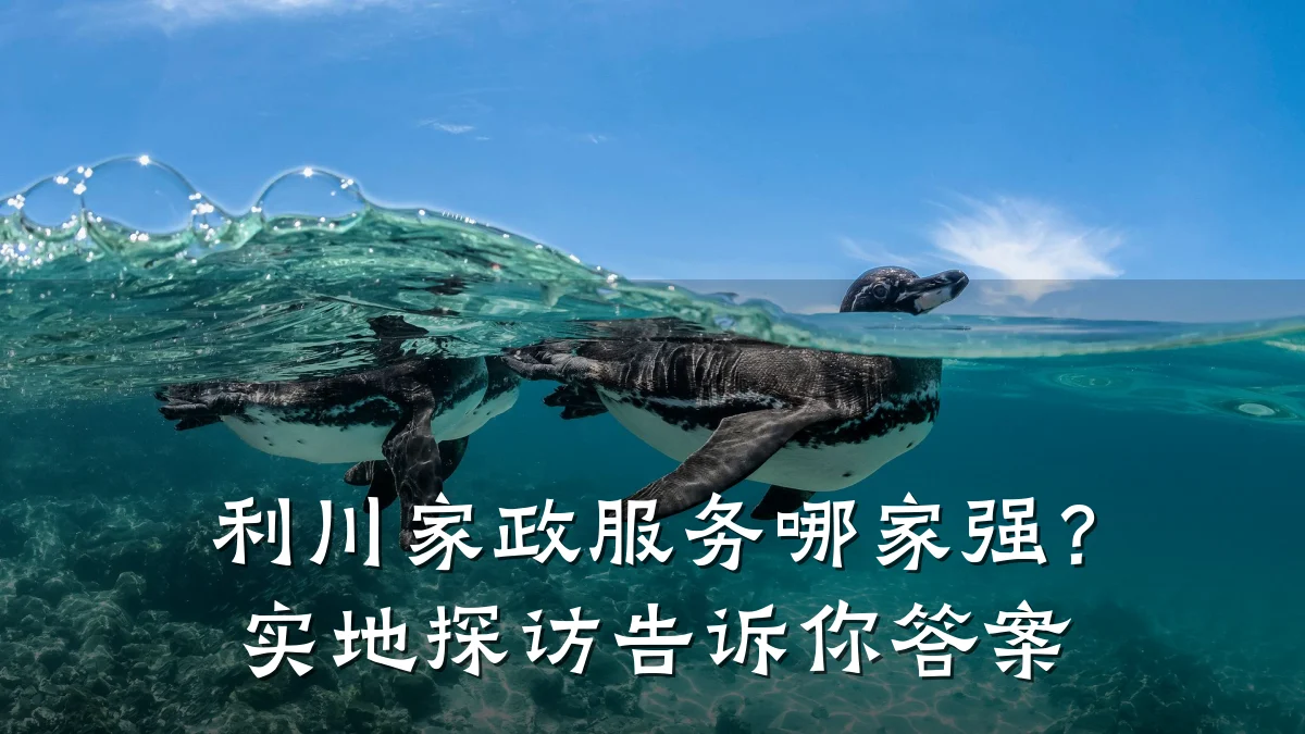 利川家政服务哪家强？实地探访告诉你答案