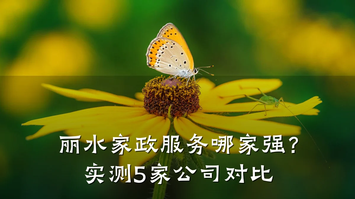 丽水家政服务哪家强？实测5家公司对比