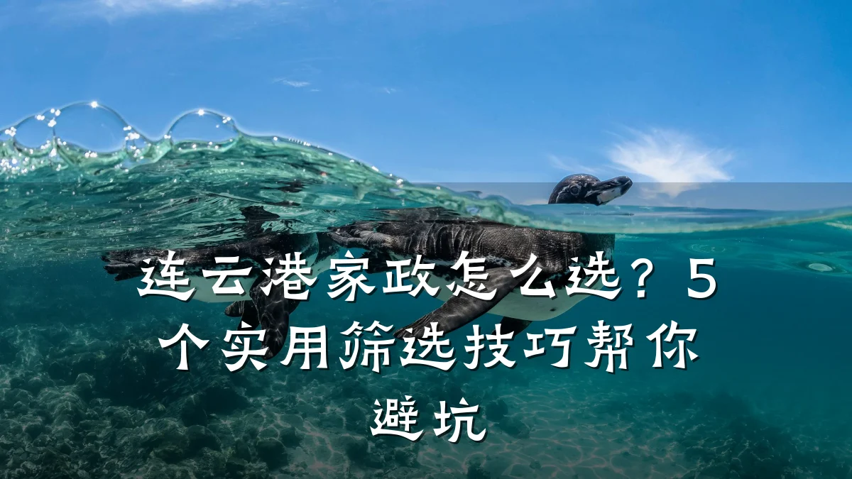 连云港家政怎么选？5个实用筛选技巧帮你避坑