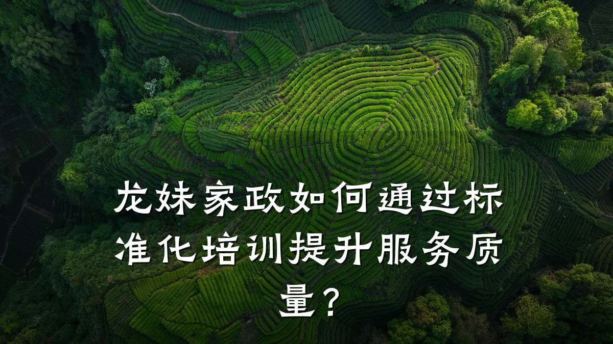 龙妹家政如何通过标准化培训提升服务质量？